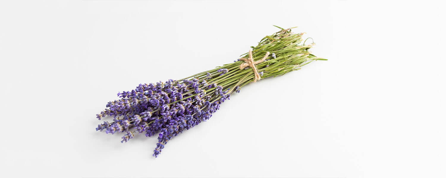 گل برای افزایش انرژی مثبت