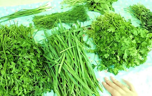 سبزی دلمه